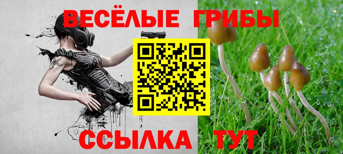Псилоцибиновые грибы MAGIC MUSHROOMS Тимашёвск