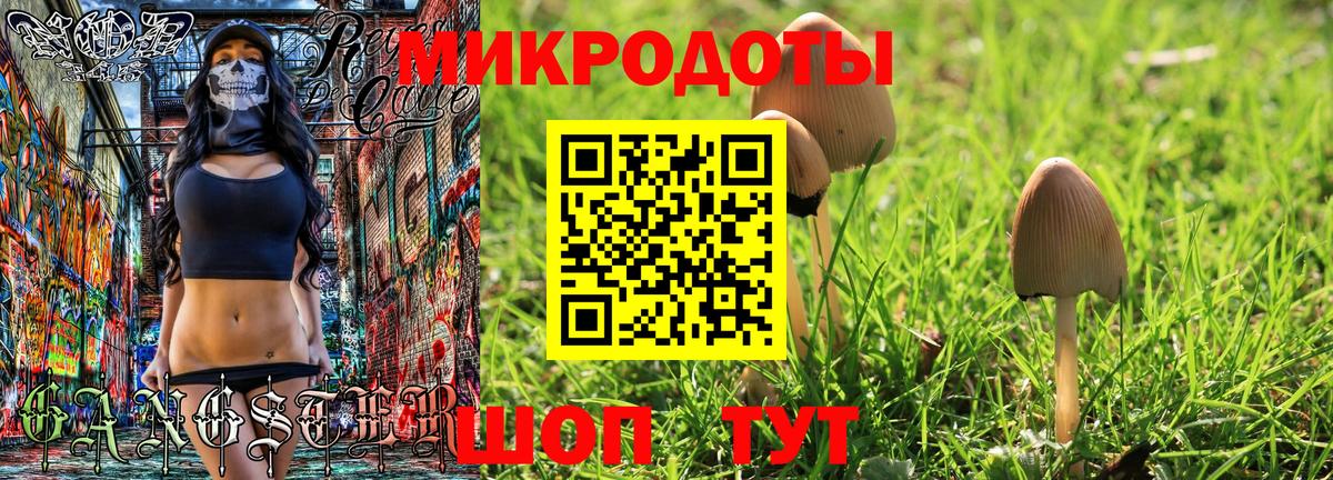 Псилоцибиновые грибы Magic Shrooms  купить наркоту  Тимашёвск  Вход с VPN 